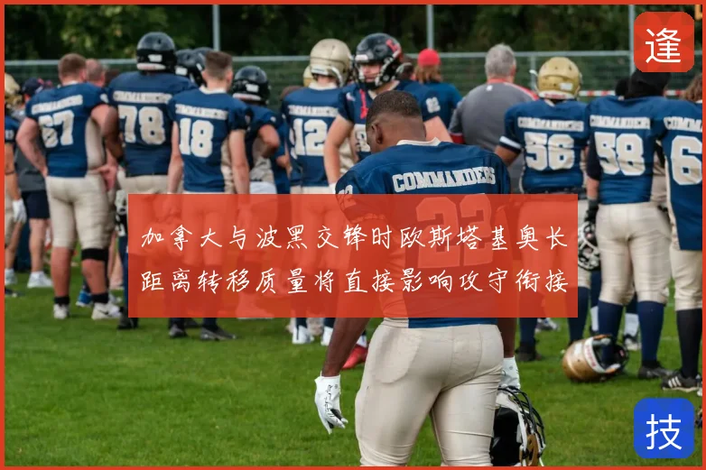 加拿大与波黑交锋时欧斯塔基奥长距离转移质量将直接影响攻守衔接